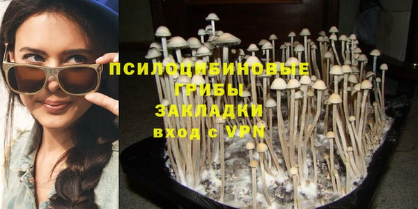бошки Балахна