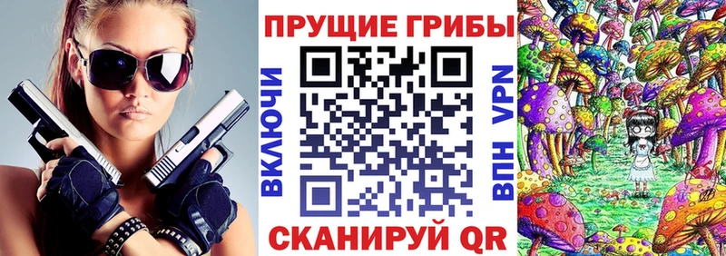 наркошоп  Петухово  Галлюциногенные грибы Psilocybe 